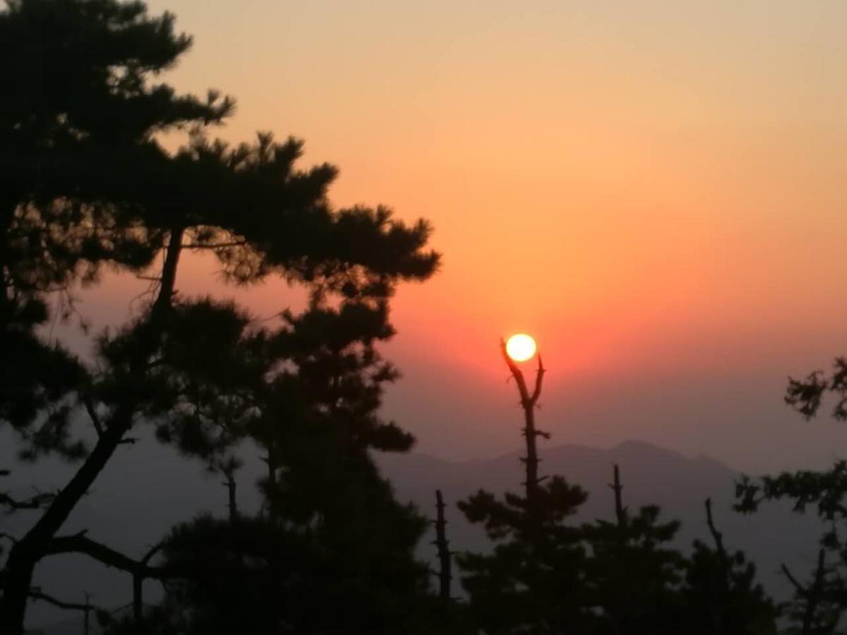 הוילה Deqing Mogan Mountain Xiaomusensen מראה חיצוני תמונה