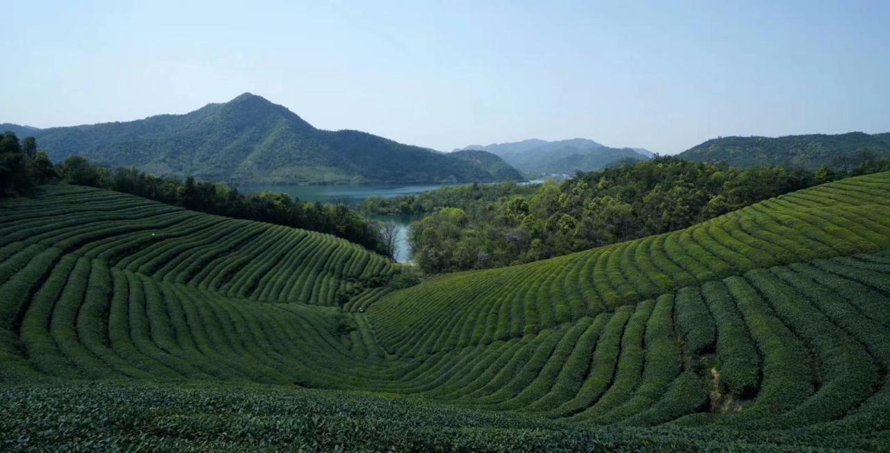 הוילה Deqing Mogan Mountain Xiaomusensen מראה חיצוני תמונה
